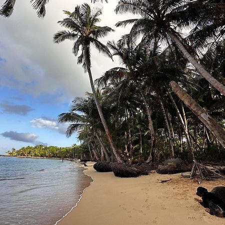 Ensuenos Natural Reserve Little Corn Island Nicaragua Luaran gambar