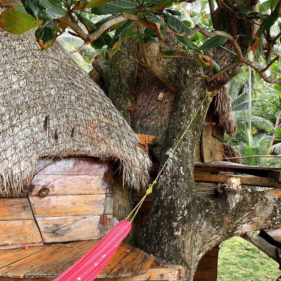 Ensuenos Natural Reserve Little Corn Island Nicaragua Luaran gambar