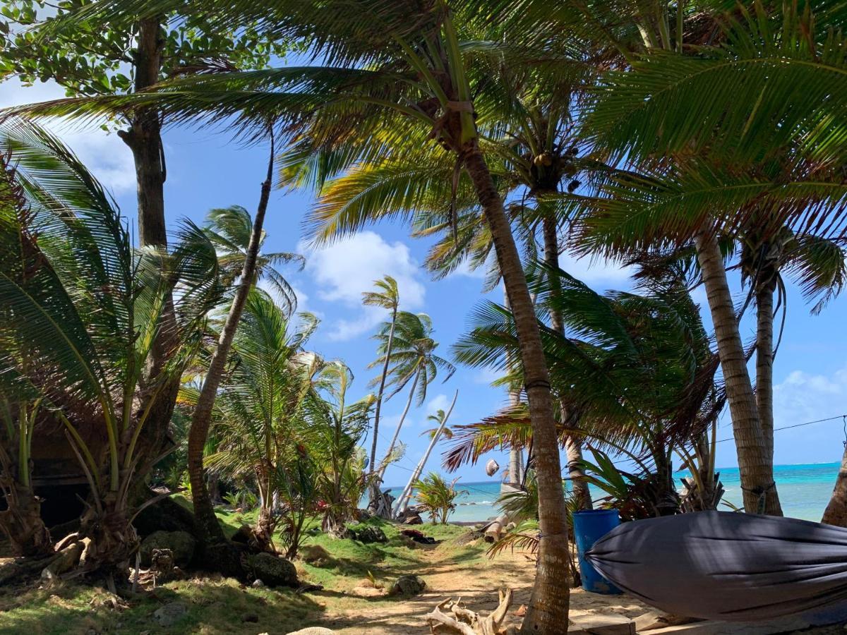 Ensuenos Natural Reserve Little Corn Island Nicaragua Luaran gambar