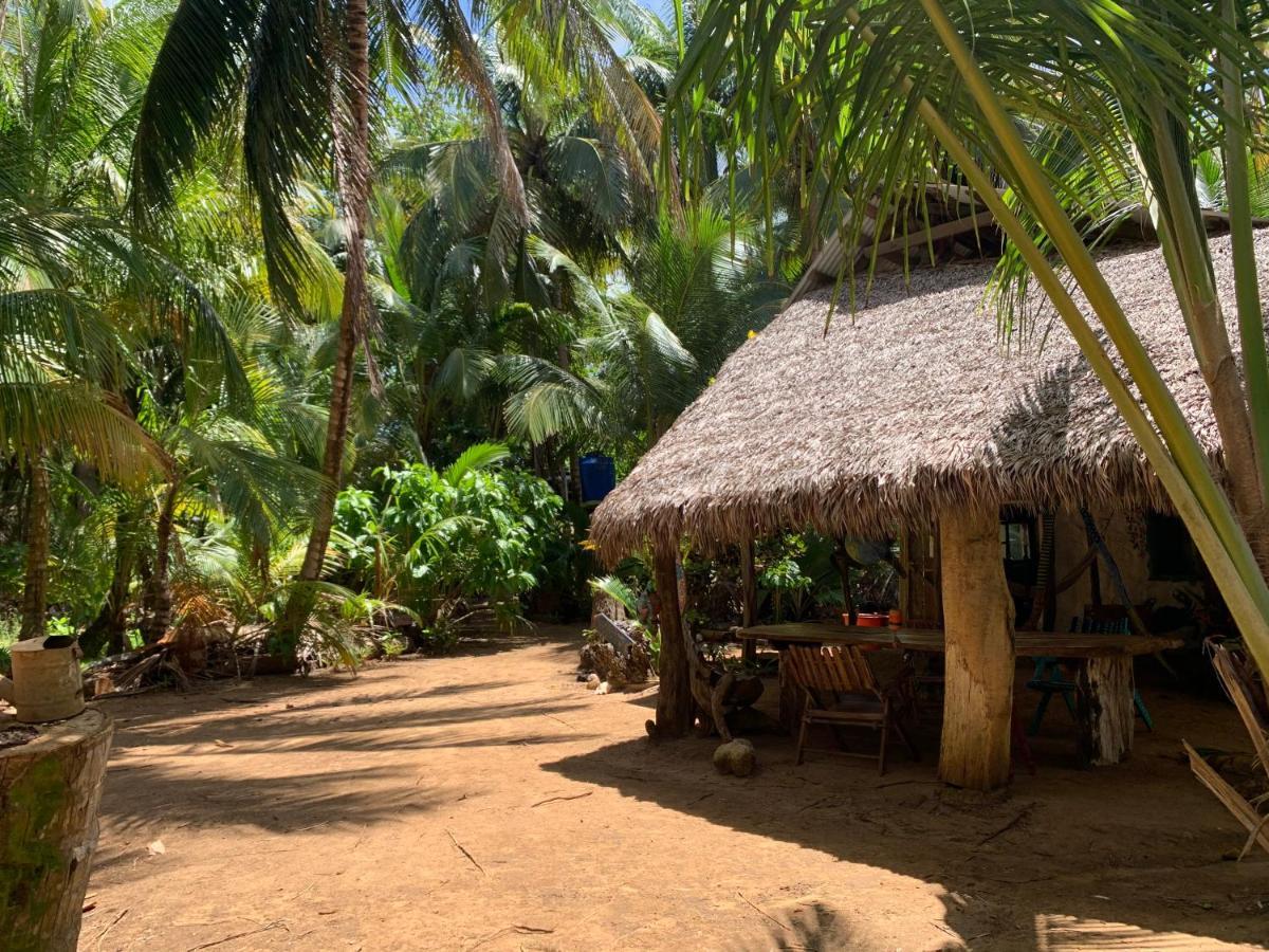 Ensuenos Natural Reserve Little Corn Island Nicaragua Luaran gambar