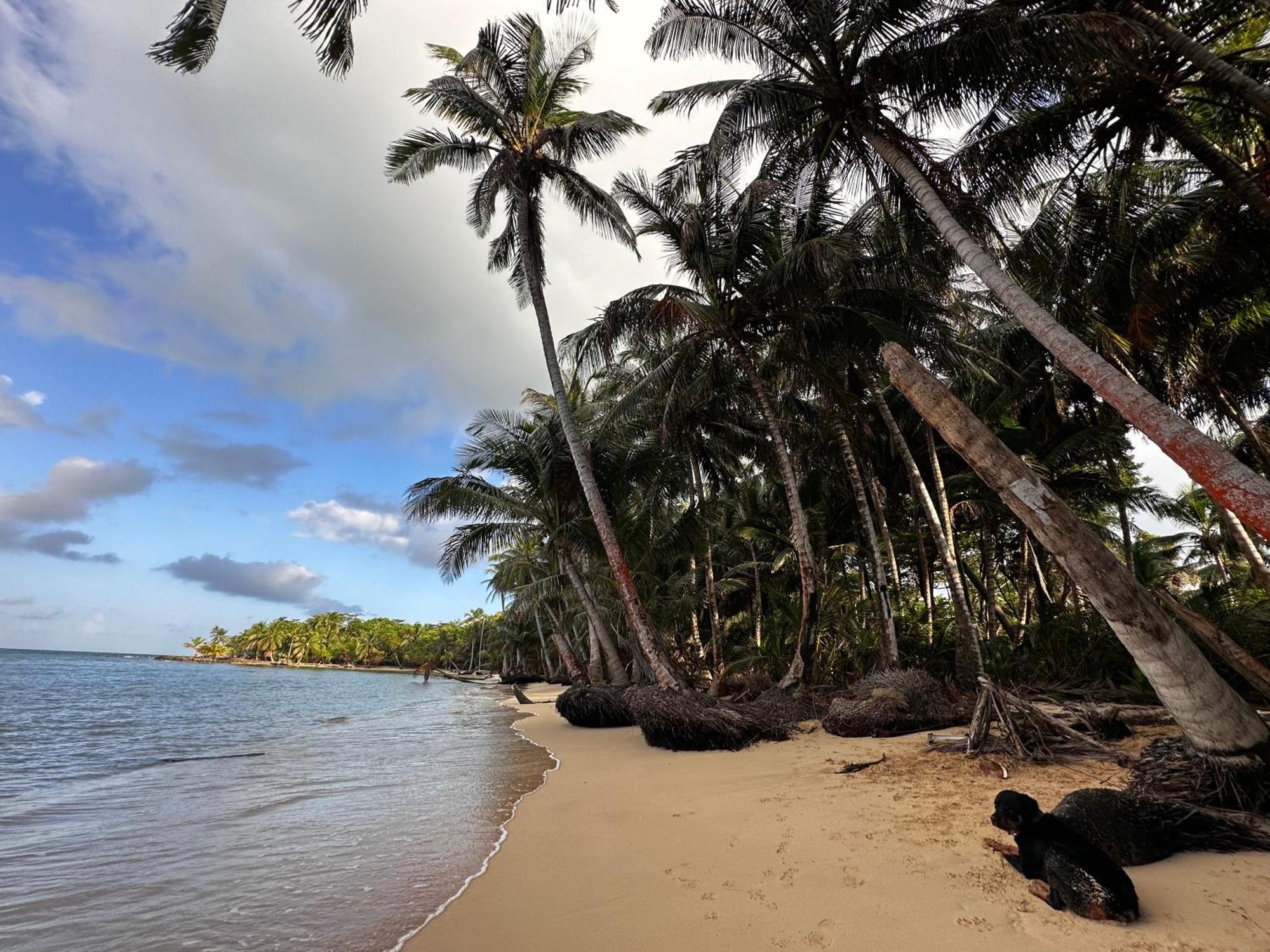 Ensuenos Natural Reserve Little Corn Island Nicaragua Luaran gambar